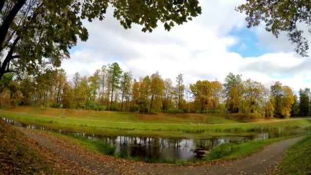 Осенний лес отражается в озере — стоковое видео
