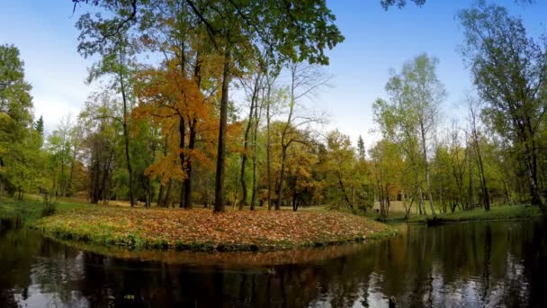 Le bois d'automne se reflète dans le lac 