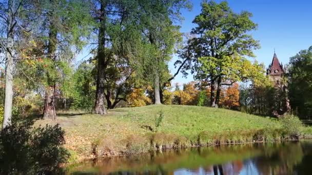 La madera de otoño se refleja en el lago — Vídeos de Stock