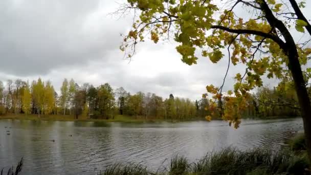 Nublado día de otoño sobre el lago. Rusia — Vídeo de stock