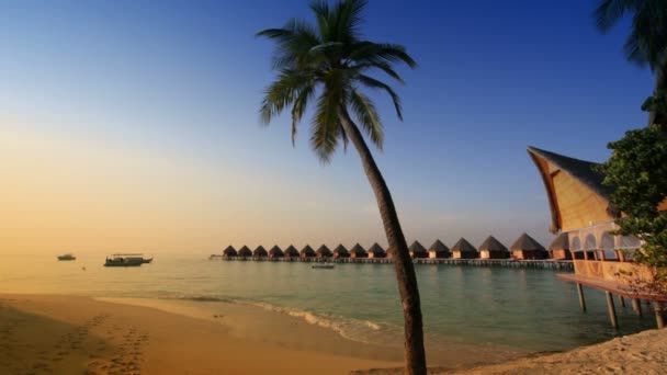 Houses over the transparent quiet sea water and a palm tree. Maldives — Stock Video