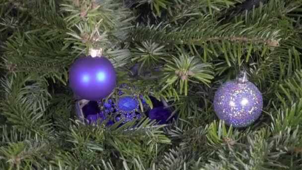 Las manos femeninas encuentran el regalo de Año Nuevo se encuentra entre las ramas del abeto de Navidad — Vídeos de Stock