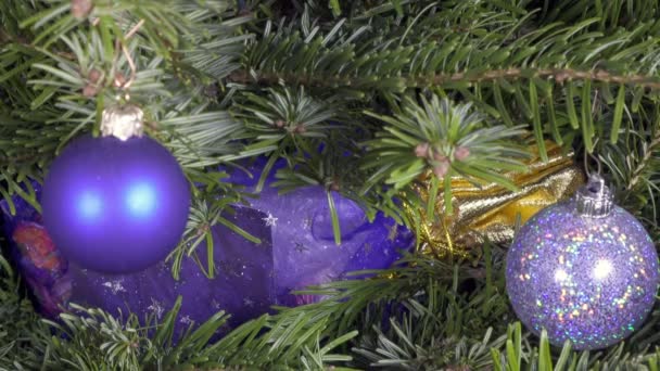 Руки женщины находят новогодний подарок лежит среди ветвей елки — стоковое видео