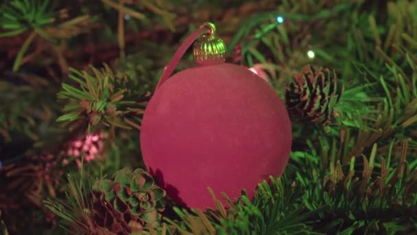 Vörös Szilveszter labdát a díszített koszorú a karácsonyfa háttér — Stock videók