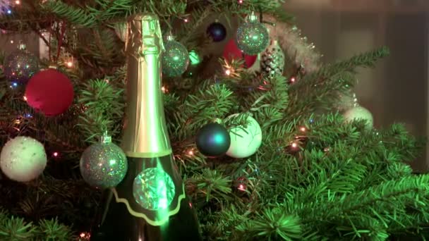 Mousserande vin champagne bland fir-julgran dekorerad av nya år bollar — Stockvideo