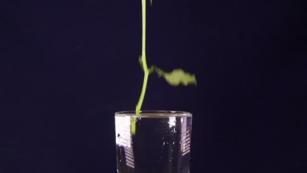 Rosas vermelhas cair lentamente em um vaso e saltando, câmera lenta — Vídeo de Stock