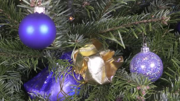 Новогодний подарок лежит среди ветвей — стоковое видео