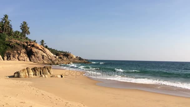 A praia com pedras e palmeiras. Índia. Querala — Vídeo de Stock