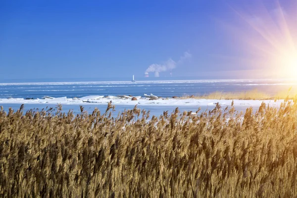 Finlandiya Körfezi yüzeyi buzla kaplı ve bir kuru olabilir — Stok fotoğraf