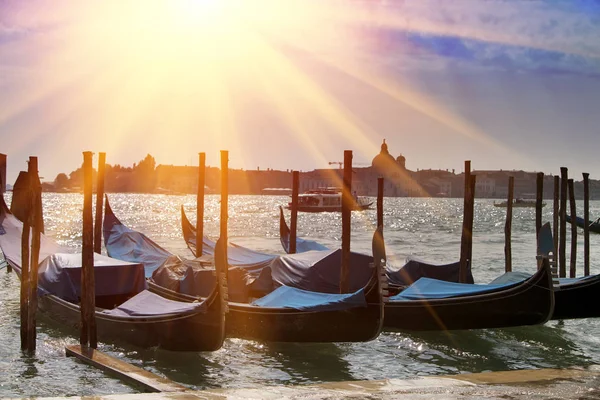 Italie. Venise. Gondoles dans le Canal Grande — Photo