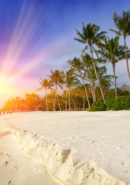 Maldivas. El sol entre las nubes ilumina la playa con palmeras —  Fotos de Stock