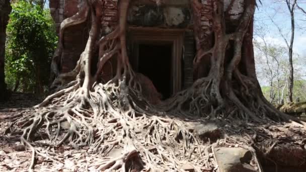 Koh Ker tempelcomplex, Cambodja — Stockvideo