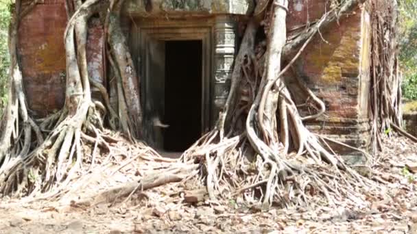 Koh Ker tempelcomplex, Cambodja — Stockvideo