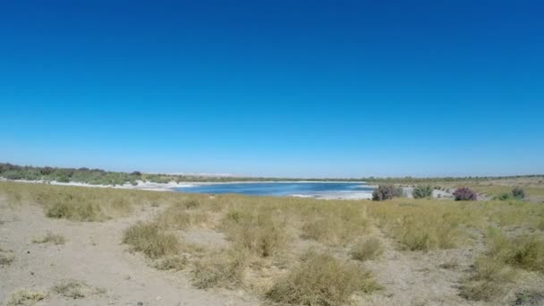 キジル ・ クム砂漠、ウズベキスタンで塩味の湖 — ストック動画