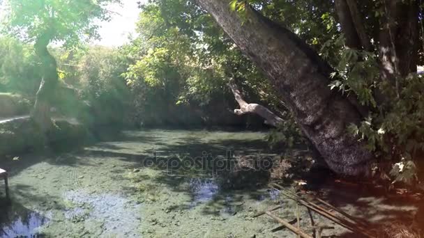 De Plataan tuin Chor-Chinor vier platanen en een heilige reservoir van vervulling van verlangens, in het oude stadje Urgut, in de buurt van Samarkand — Stockvideo