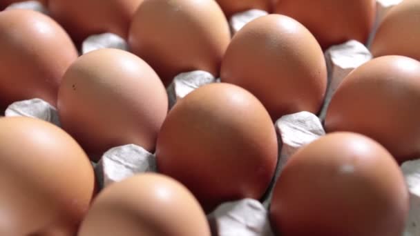 Яйца лежат в картонной опоре — стоковое видео
