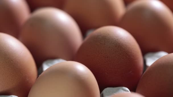 Яйця лежать в картонній підтримці — стокове відео