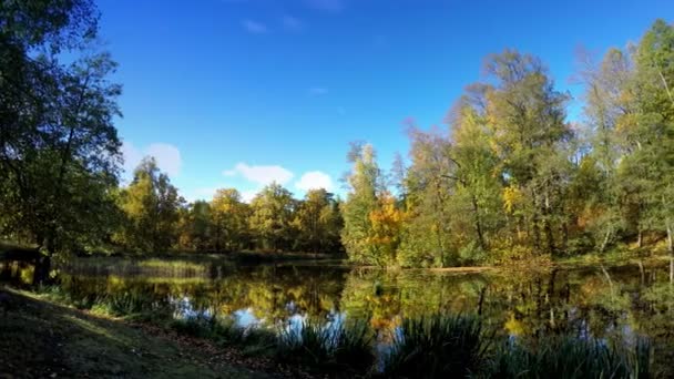 Herfst park met de rivier — Stockvideo