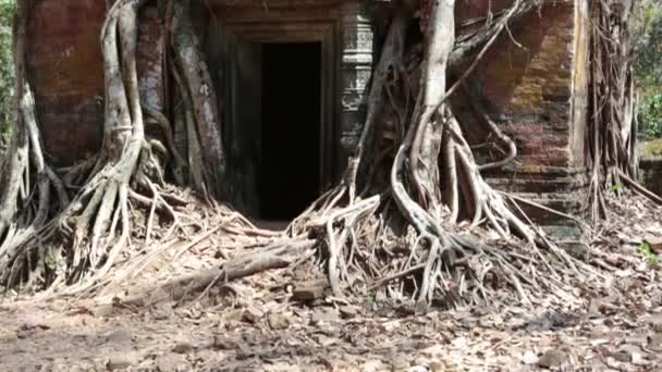 Храм Ко Кер, Камбоджа — стоковое видео