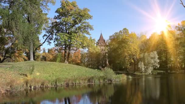 Осенний лес отражается в озере в солнечный день — стоковое видео