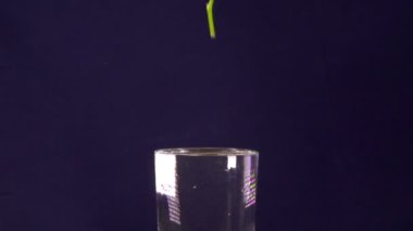 kırmızı gül yavaş yavaş sonbahar bir vazo ve zıplatma, yavaş hareket içinde