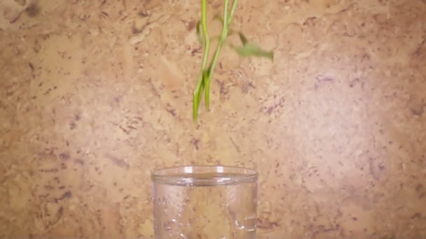 A rosa vermelha cai lentamente em um vaso e saltando, câmera lenta — Vídeo de Stock