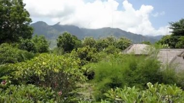 Yükseklik yeşillik tropik ağaçların üzerinden hava manzara dağlar üzerinde. Endonezya. Bali.