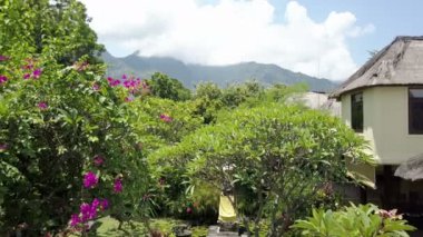 Yükseklik yeşillik tropik ağaçların üzerinden hava manzara dağlar üzerinde. Endonezya. Bali.