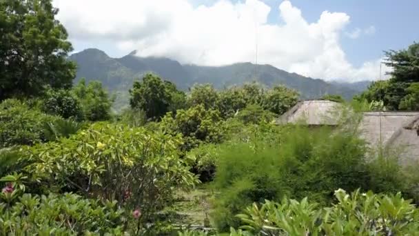 Yükseklik yeşillik tropik ağaçların üzerinden hava manzara dağlar üzerinde. Endonezya. Bali. — Stok video