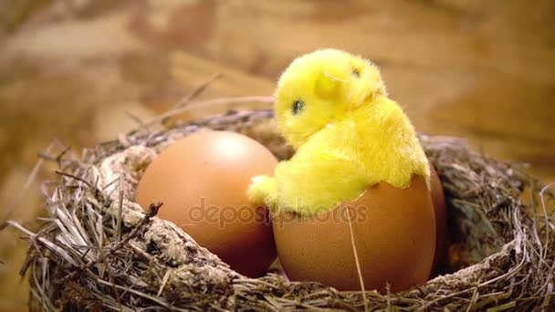 Toy chicken in a shell of egg in a nest with eggs — Stock Video