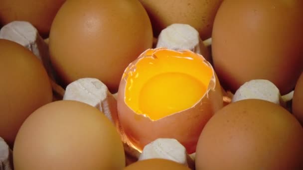 Яйца лежат в картонной опоре, одно яйцо разбито — стоковое видео