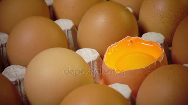 Le uova giacciono nel supporto di cartone, un uovo rotto — Video Stock