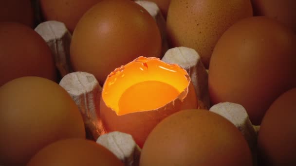 Eggs lie in the cardboard support,one egg broken — Stock Video