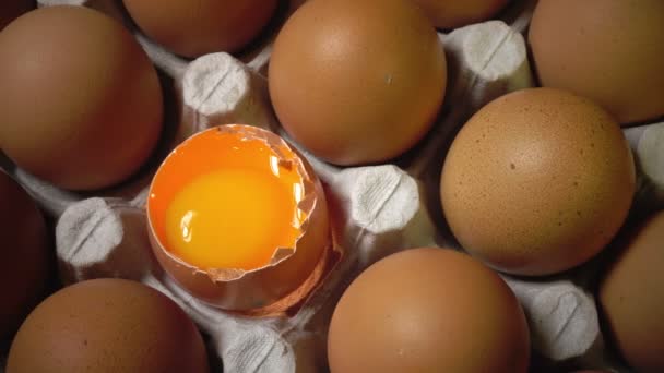 Huevos yacen en el soporte de cartón, un huevo roto — Vídeos de Stock