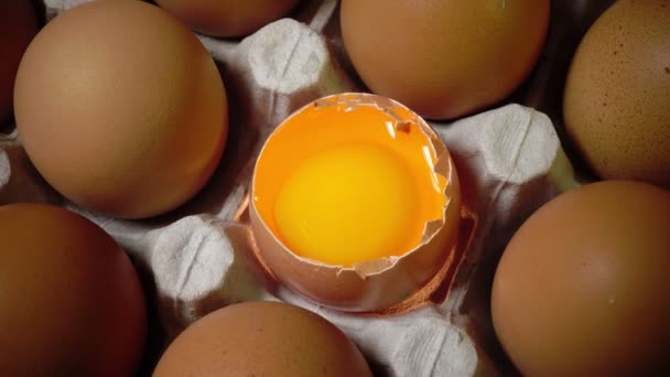 Huevos yacen en el soporte de cartón, un huevo roto — Vídeos de Stock