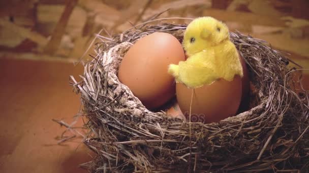 Pollo giocattolo in un guscio d'uovo in un nido con uova — Video Stock