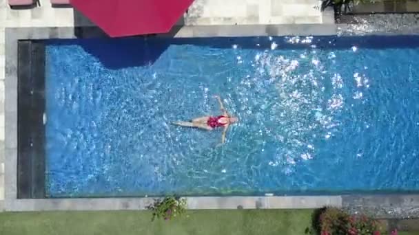 Die junge schöne Frau schwimmt im Pool in einem tropischen Garten, Luftaufnahme von der Drohne — Stockvideo