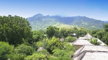 Yükseklik yeşillik tropik ağaçların üzerinden hava manzara dağlar üzerinde. Endonezya. Bali.