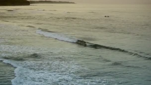 Wellen des Meeres rollen an der steinigen Küste, bali, Indonesien — Stockvideo