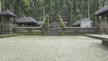 Sangeh maymun orman Bali
