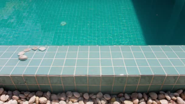 Inskriptionen "simma" läggas ut av pebble på en pool sida, stop motion — Stockvideo