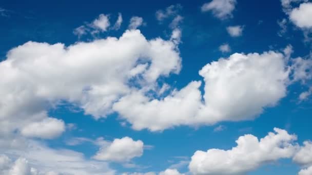 Time lapse clip of white fluffy clouds over blue sky — Stock Video