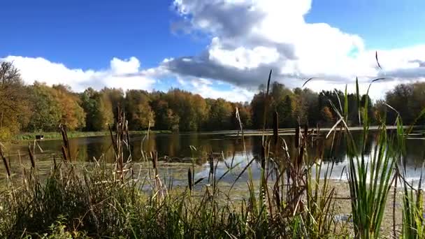 Temps écoulé, nuages se déplacent au-dessus du lac forestier 