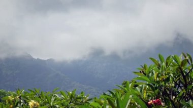 Endonezya, Bali, bulutlar dağ ve tropikal Bahçe, zaman atlamalı üzerinde hareket