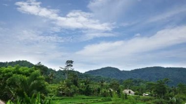 Endonezya, Bali, bulutlar dağ ve pirinç terasları üzerinde zaman atlamalı taşımak,