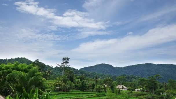 Indonesien, Bali, skyer bevæger sig over bjerget og ris terrasser, Time bortfalder , – Stock-video