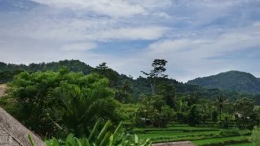 Endonezya, Bali, bulutlar dağ ve pirinç terasları üzerinde zaman atlamalı taşımak,