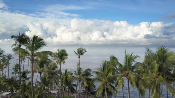 Aero vista de drone no mar e praia em que palmeiras de Bali Indonésia — Vídeo de Stock