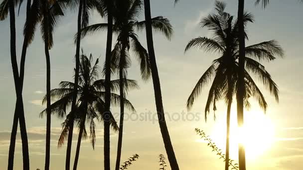 El tiempo decae al amanecer. Vista del amanecer del sol sobre el mar a través de palmeras en la playa, Bali, Indonesia — Vídeo de stock