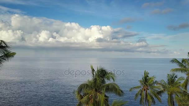 Aero pohled z dron na moře a pláže na které palmy Bali Indonésie — Stock video